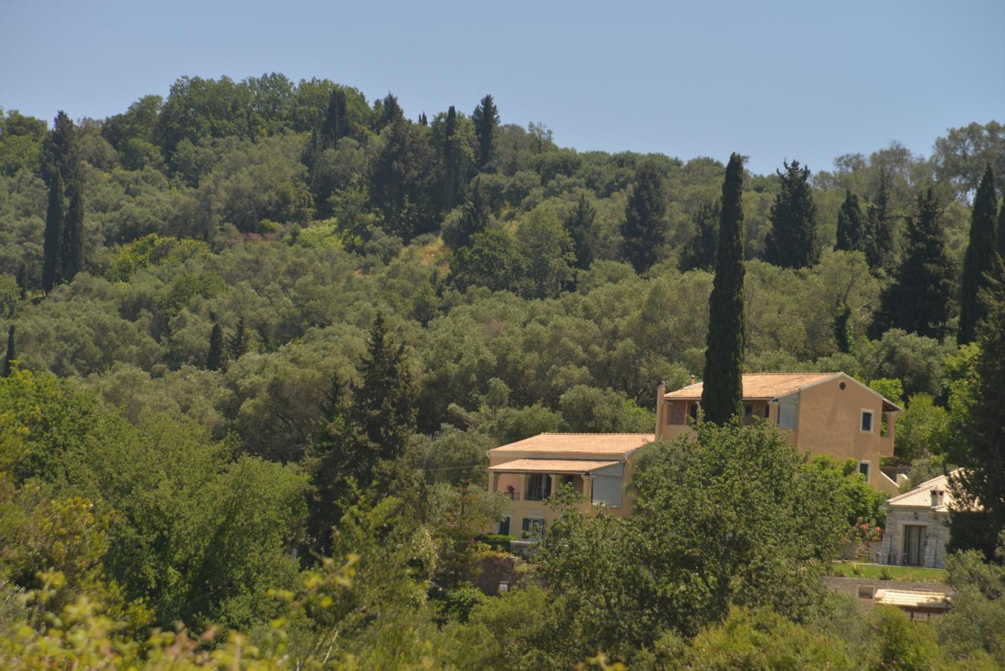 Georgia Apartments & Studios Corfu Glifada Pokój zdjęcie