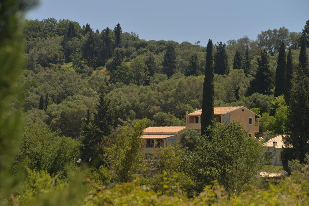 Georgia Apartments & Studios Corfu Glifada Zewnętrze zdjęcie