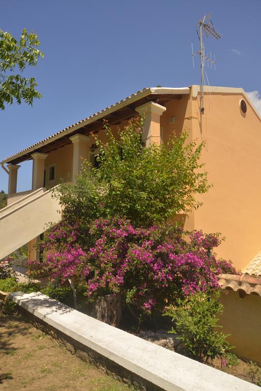 Georgia Apartments & Studios Corfu Glifada Pokój zdjęcie