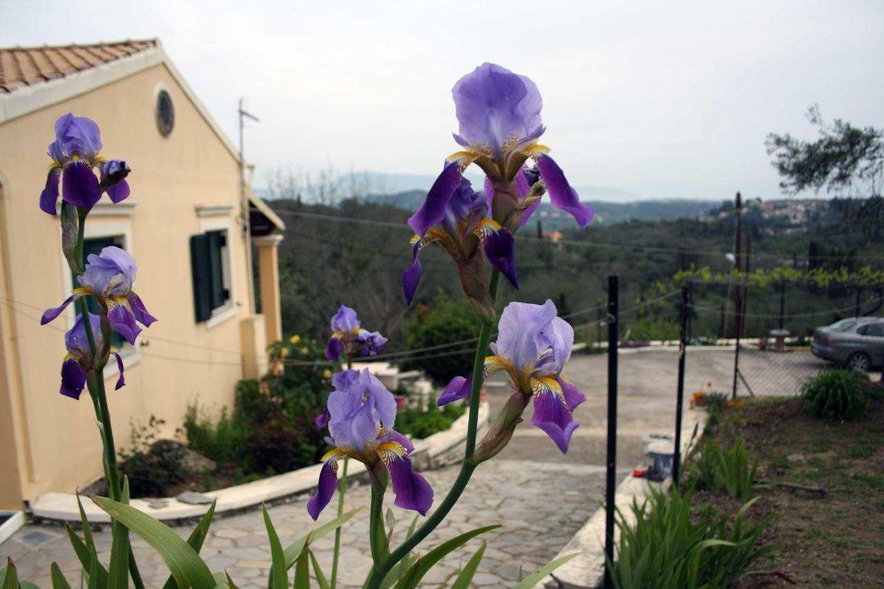 Georgia Apartments & Studios Corfu Glifada Zewnętrze zdjęcie